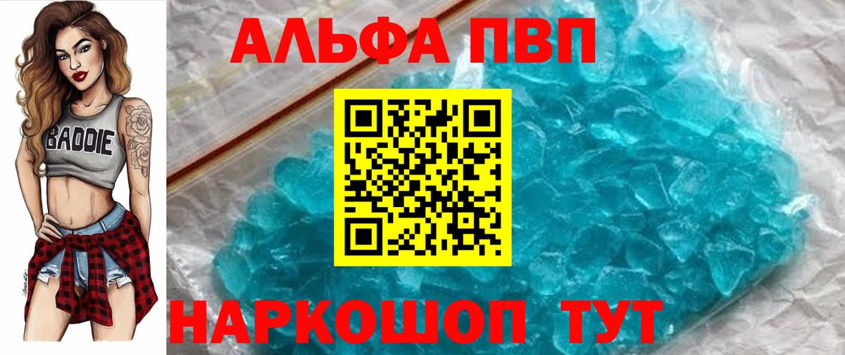 Славгород  A PVP СК  Альфа ПВП СК КРИС  Вход с VPN 