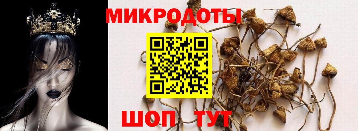 Галлюциногенные грибы мицелий  Вход с VPN  Славгород 